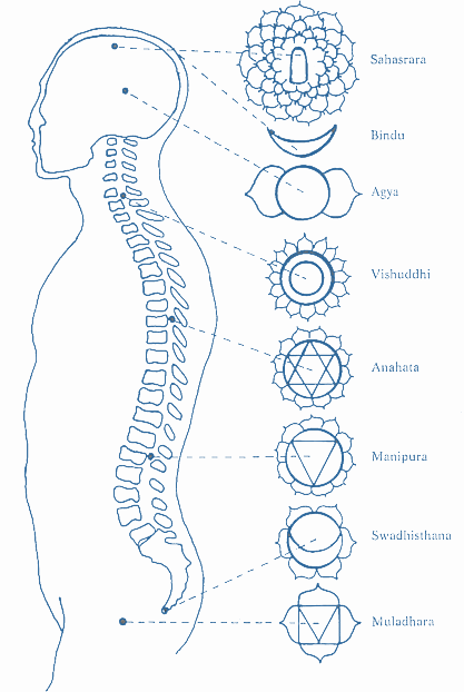 chakra collocazione nello yoga